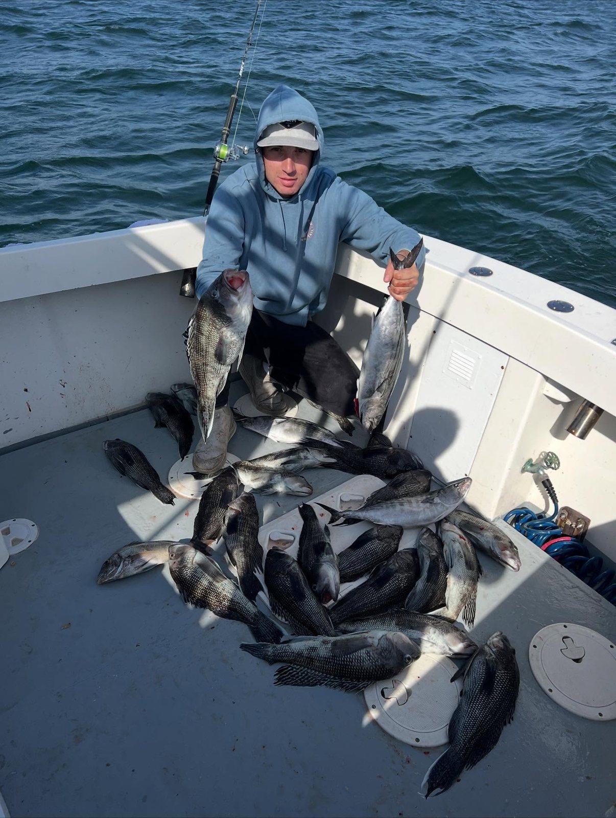 A full limit of blackfish bagged on deck after a fall bottom-fishing charter