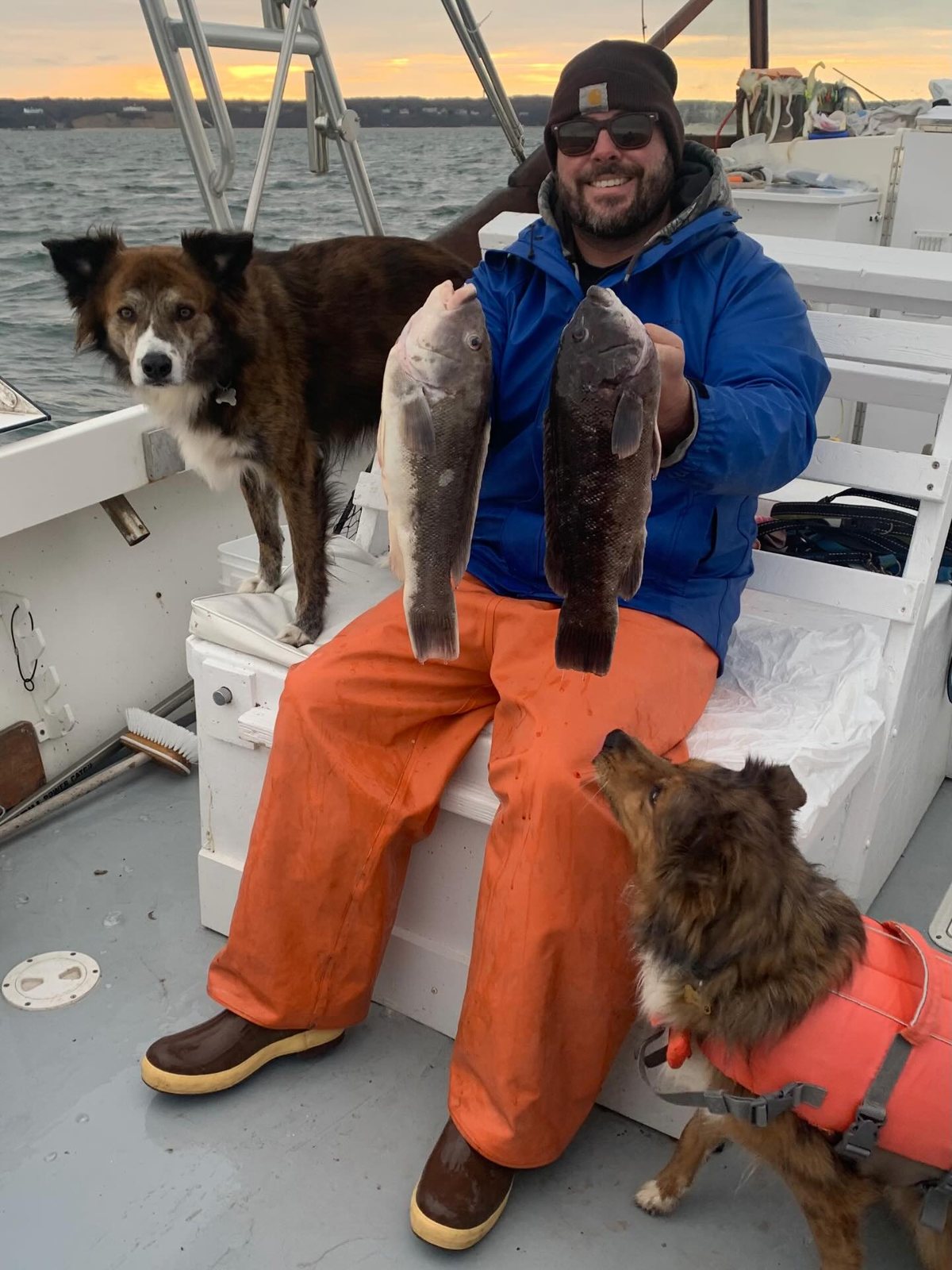 Captain Skippy with a blackfish and the two boat dogs aboard the Christina M II