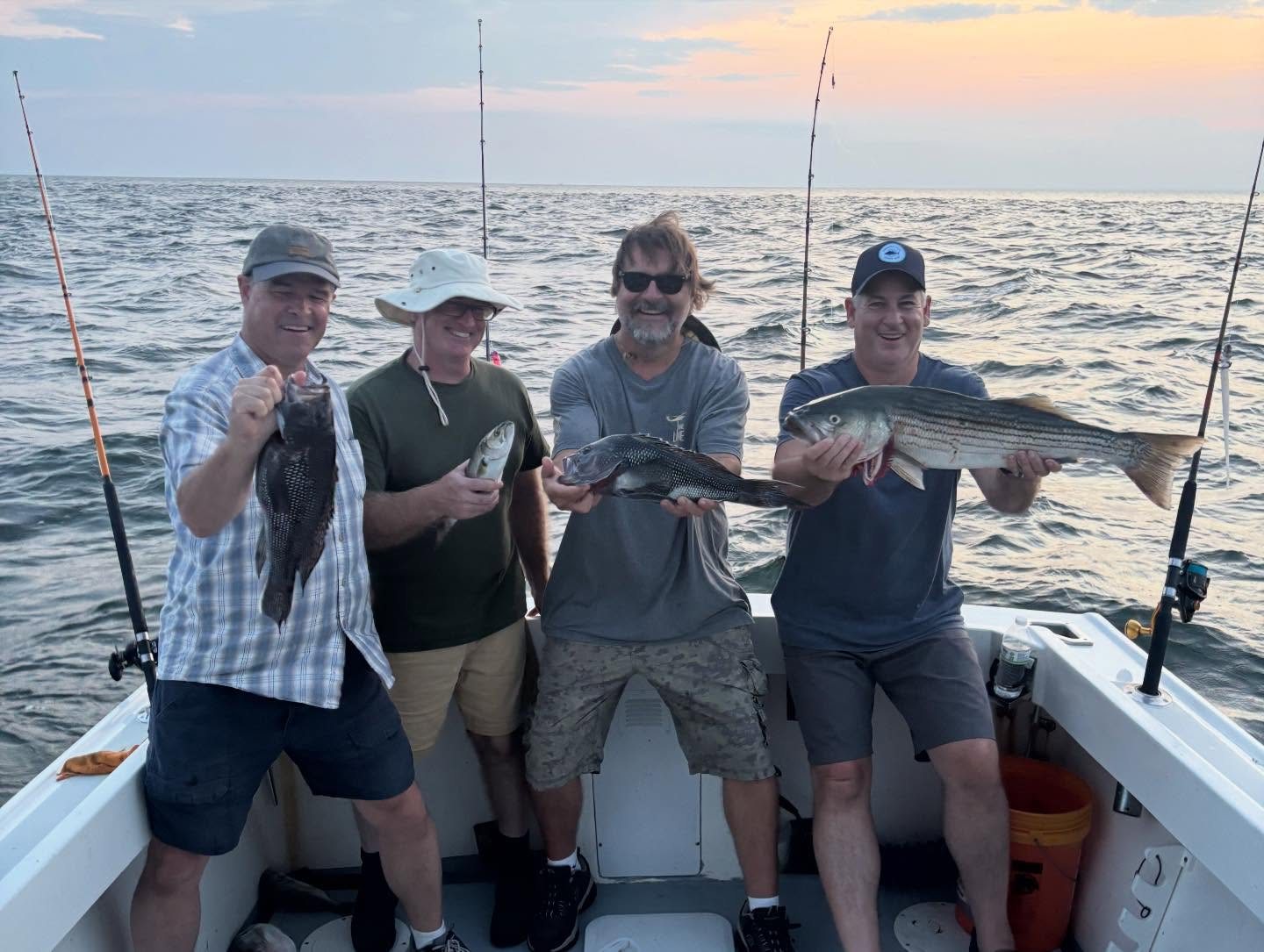 Four anglers holding striped bass on an evening charter on the Long Island Sound