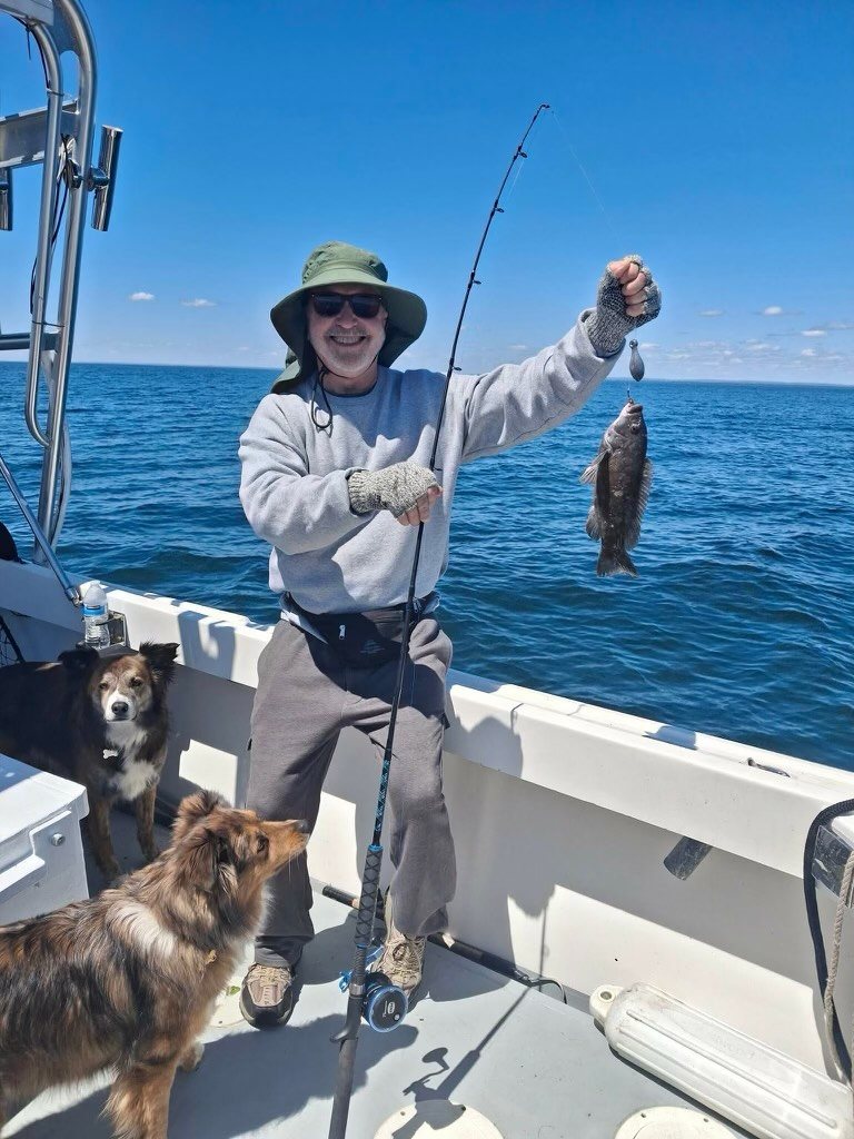 Angler holding a black sea bass with the boat dog on deck