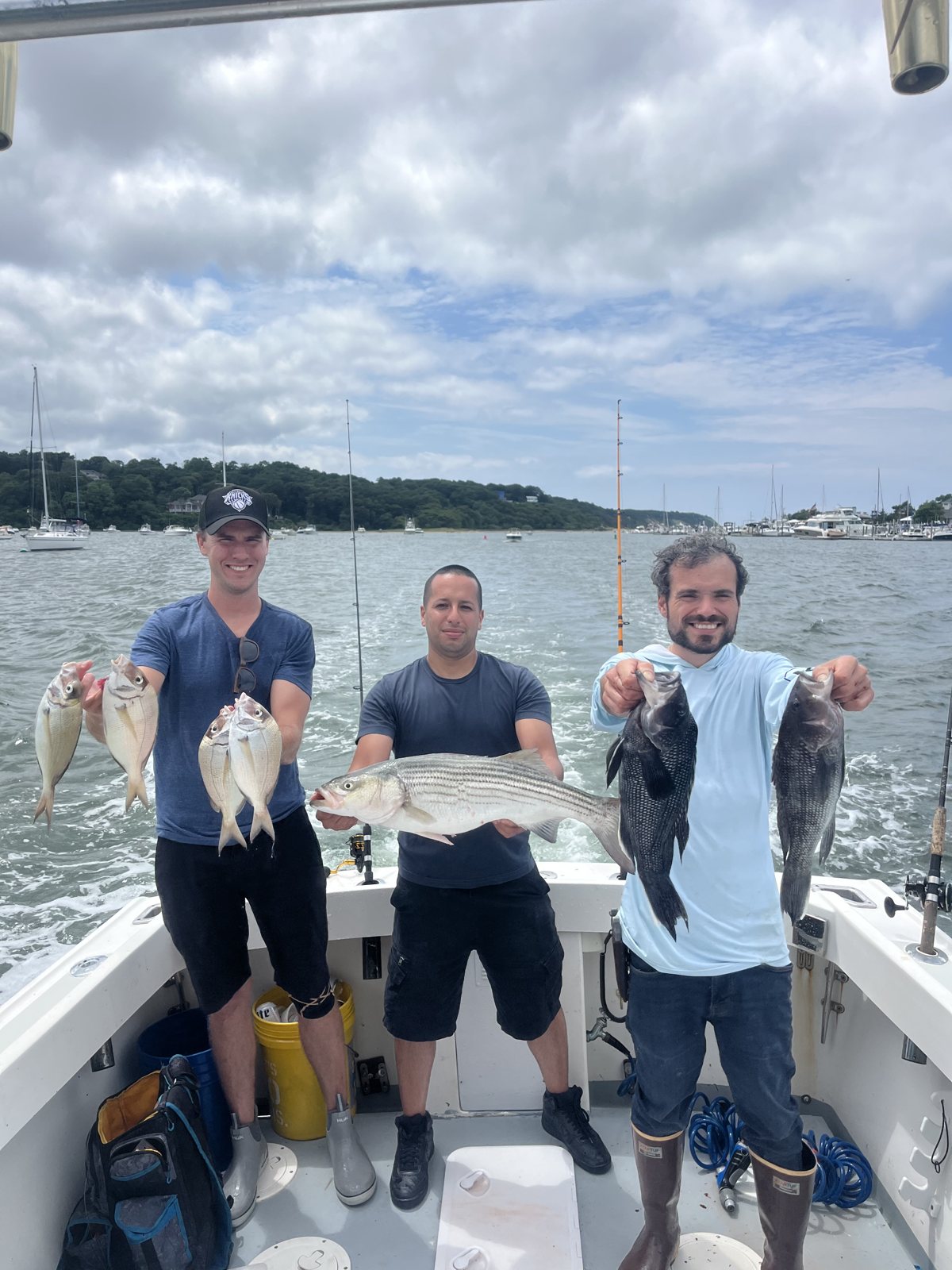 Four anglers with striped bass on a Long Island Sound charter