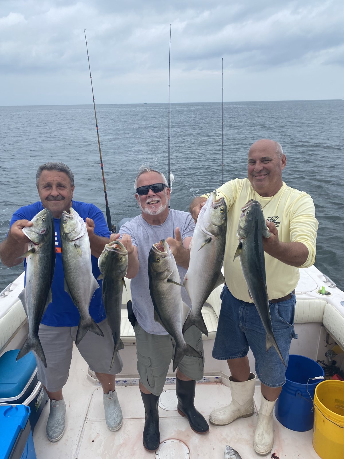 Three anglers holding bluefish and striped bass on a Mount Sinai charter